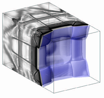 Image pics/cells3d/y5comb_3d_iso_100.gif