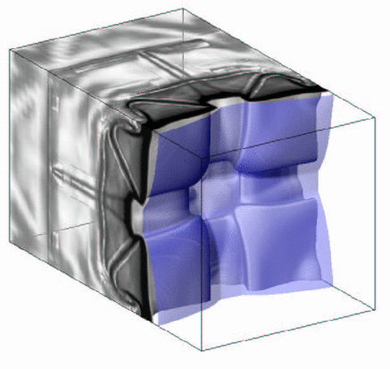 Image pics/cells3d/y5comb_3d_iso_110.gif