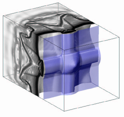 Image pics/cells3d/y5comb_3d_iso_50.gif